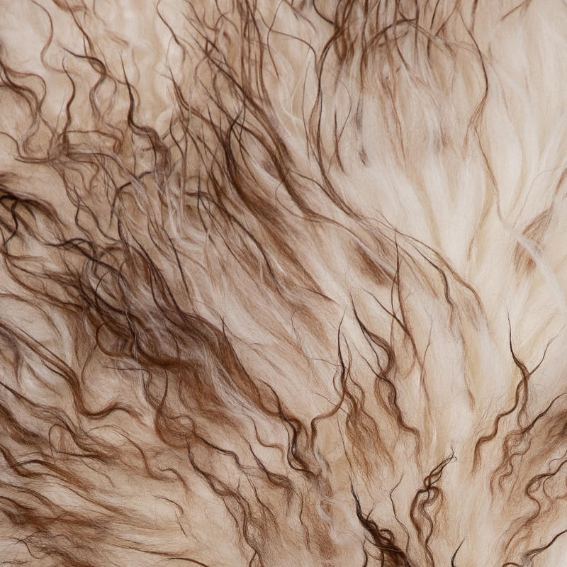 IJslandse schapenvacht - Wit-Bruin curly - XL