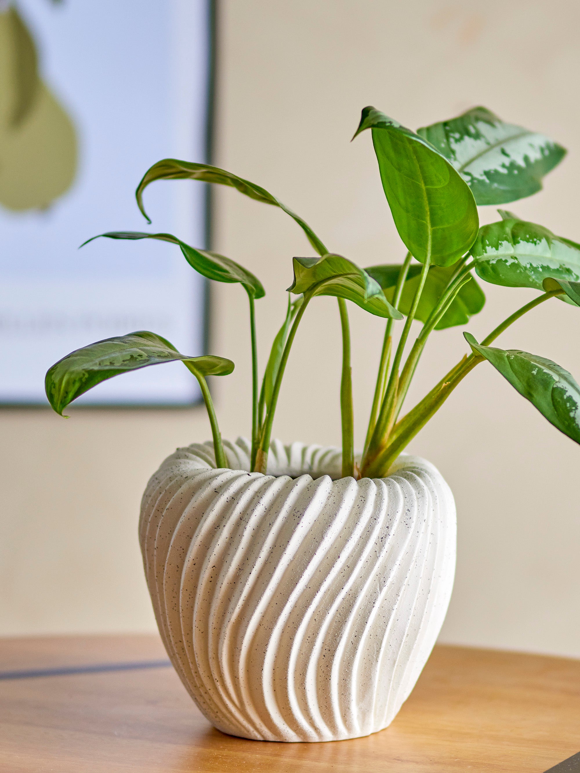 Pot de fleurs Maham