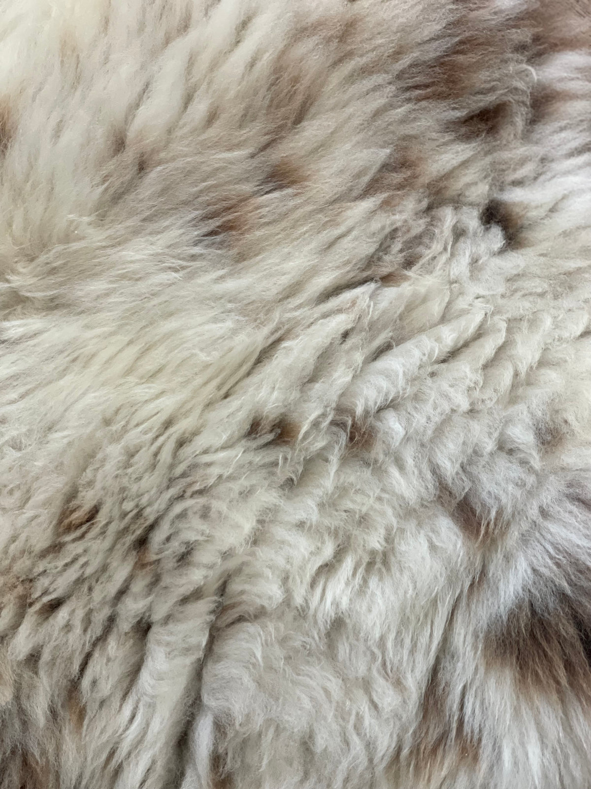 Gemêleerde beige Texelse schapenvacht L 2