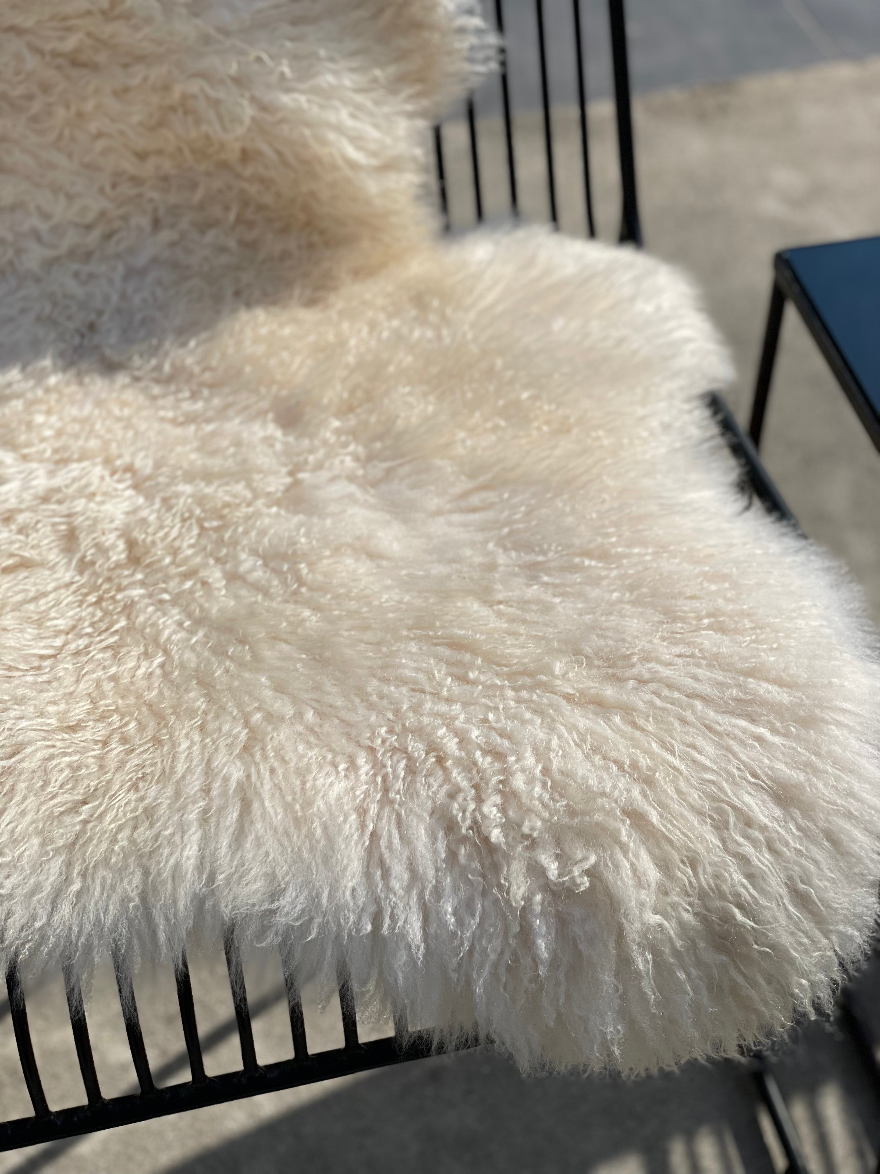 IJslandse schapenvacht - Wit curly 1 - XL
