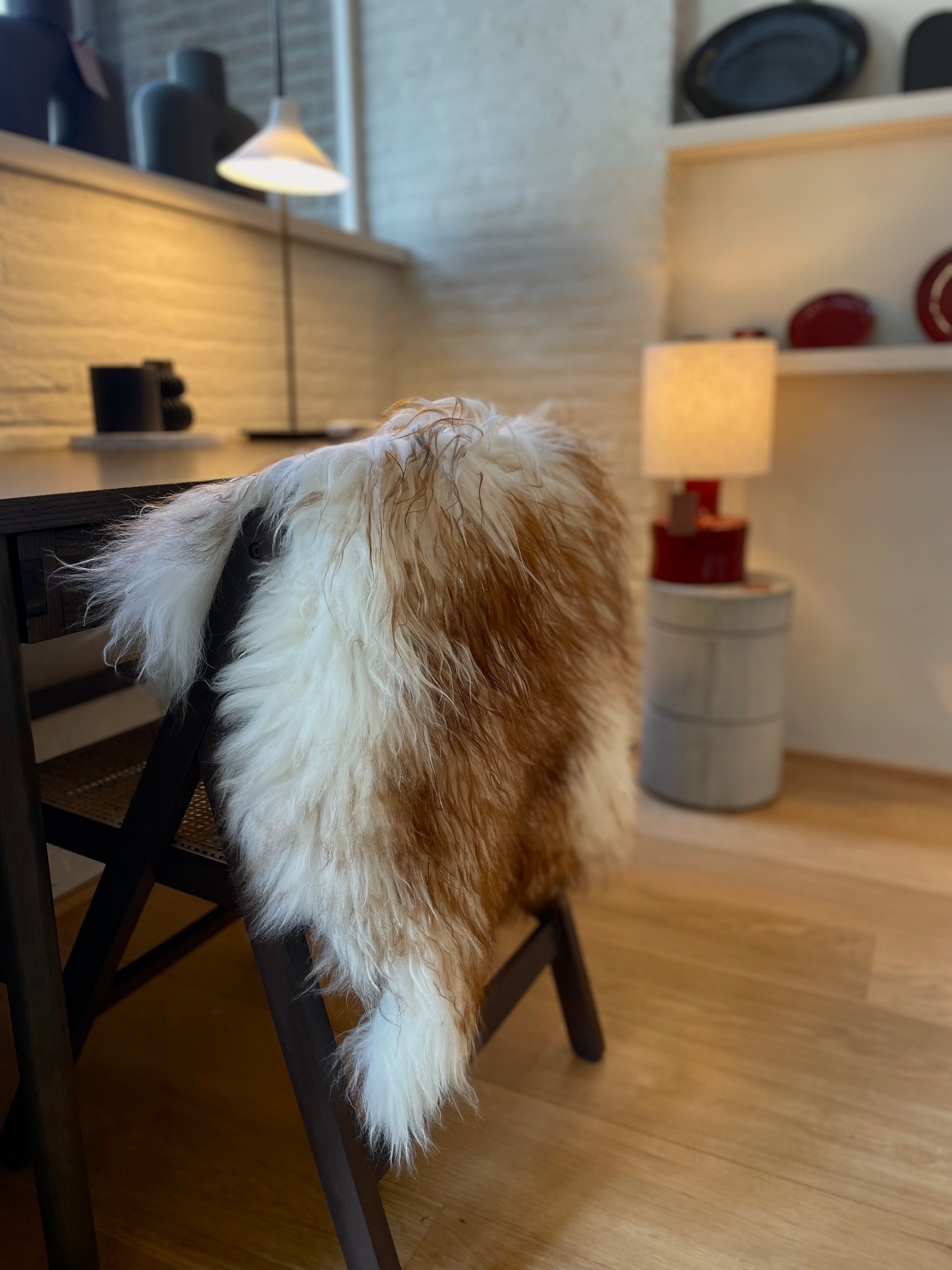 IJslandse schapenvacht - Wit-Bruin curly - M