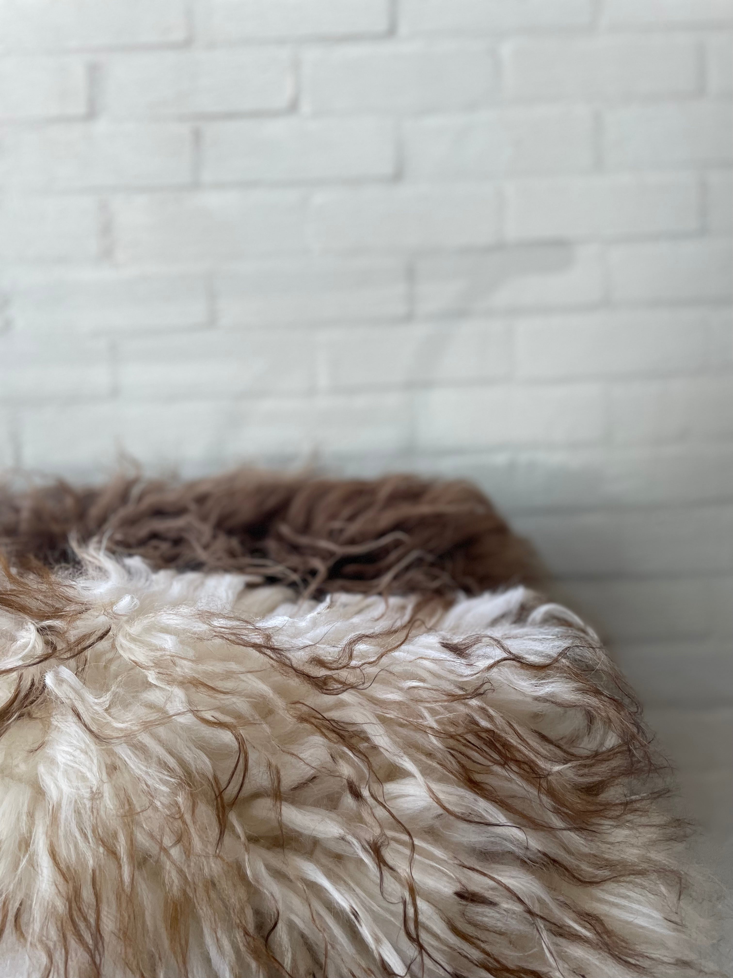 IJslandse schapenvacht - Wit-Bruin curly - M