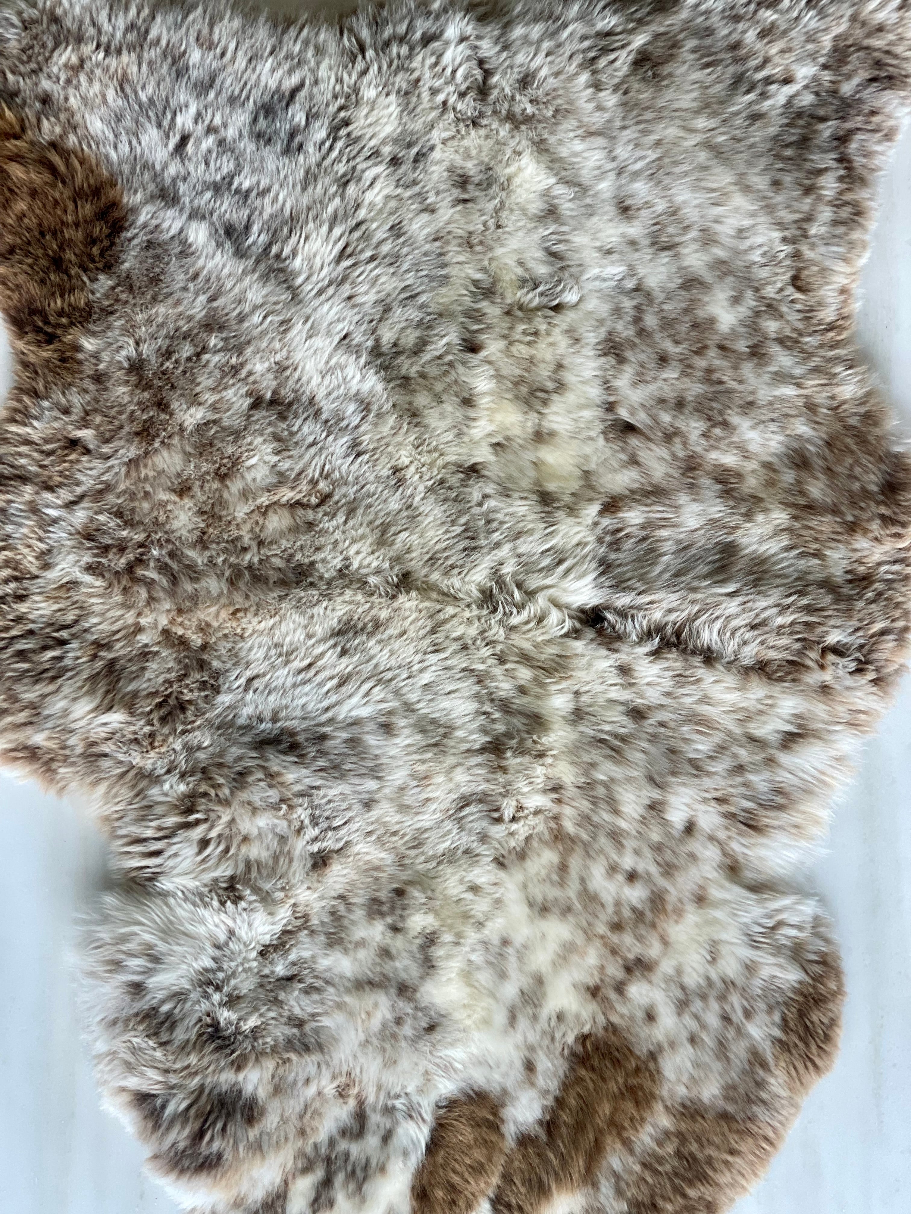 Blue Texel lambskin 1