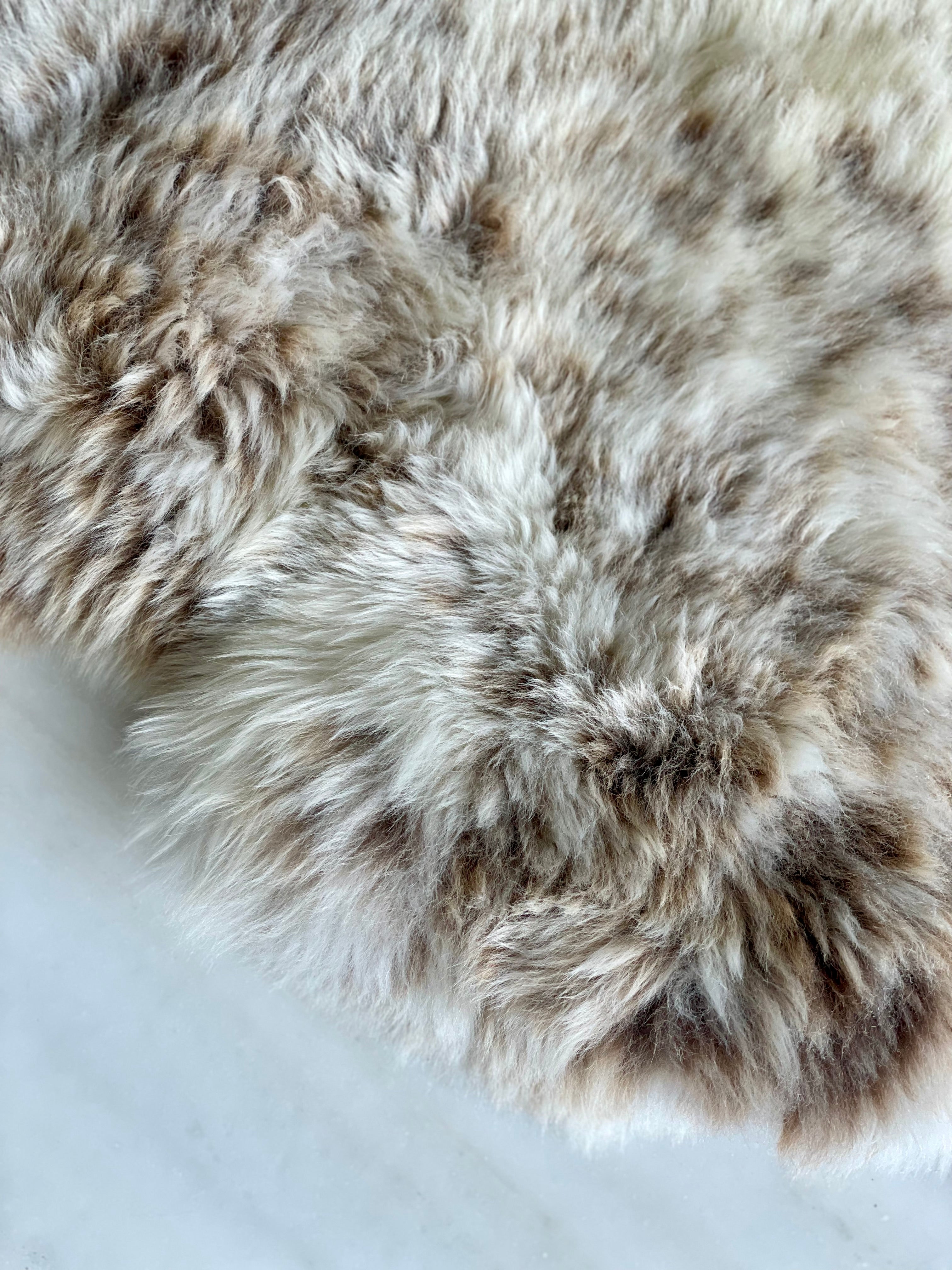 Blue Texel lambskin 1