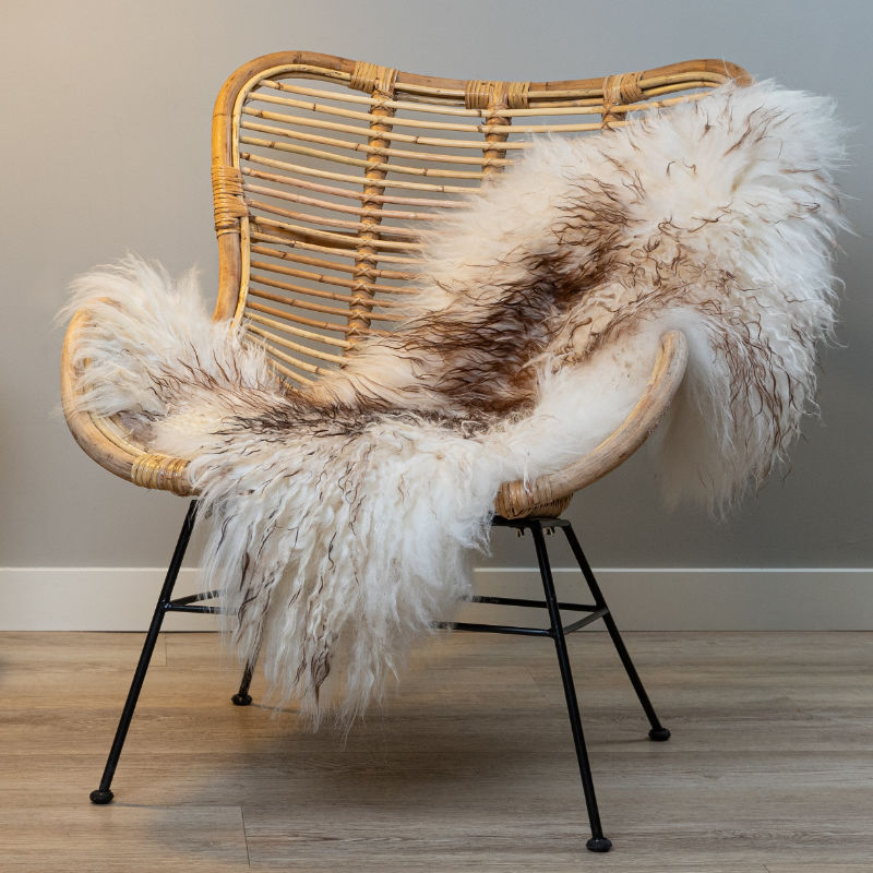 IJslandse schapenvacht - Wit-Bruin curly - XL