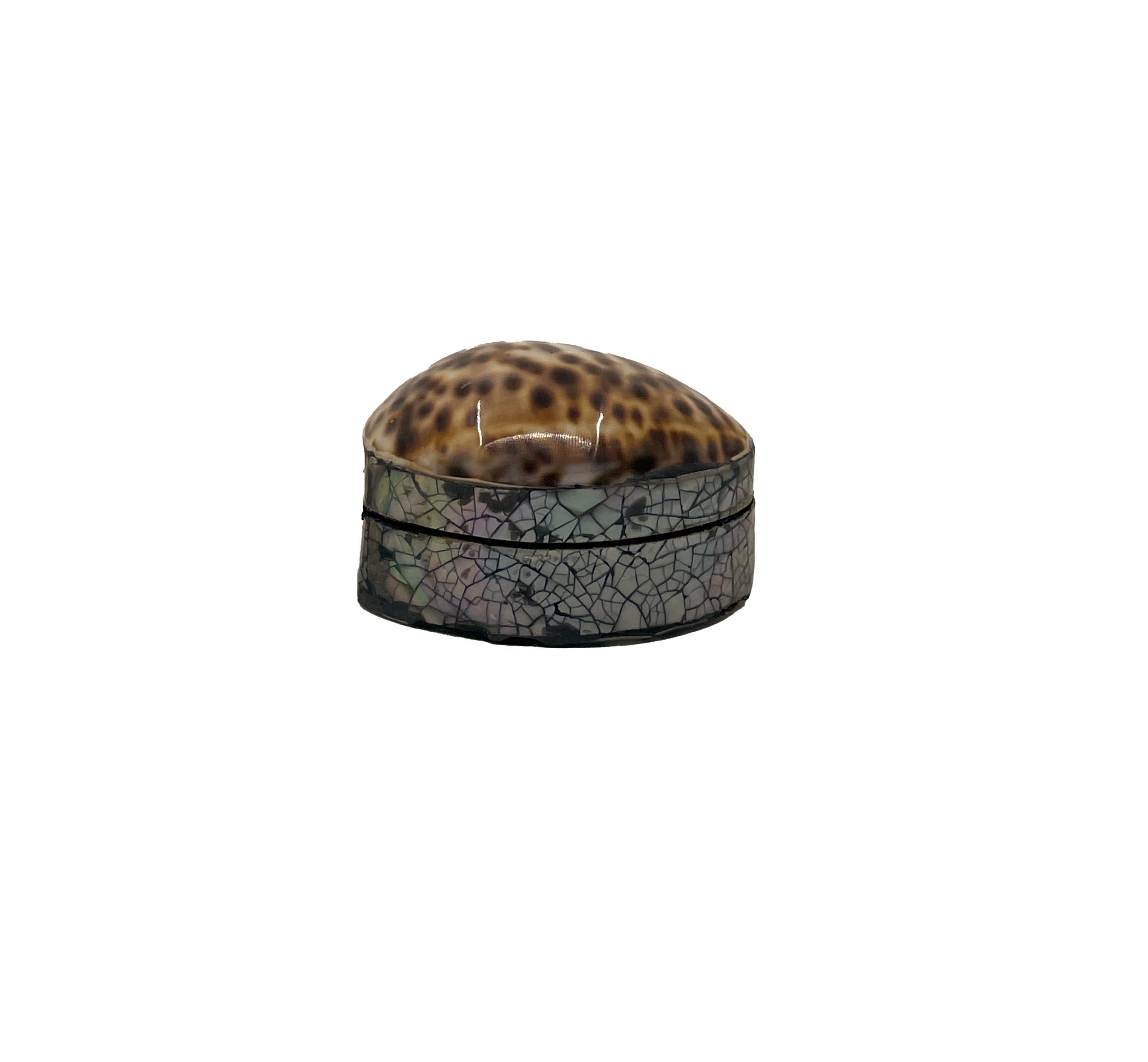 Jewelry box seashell