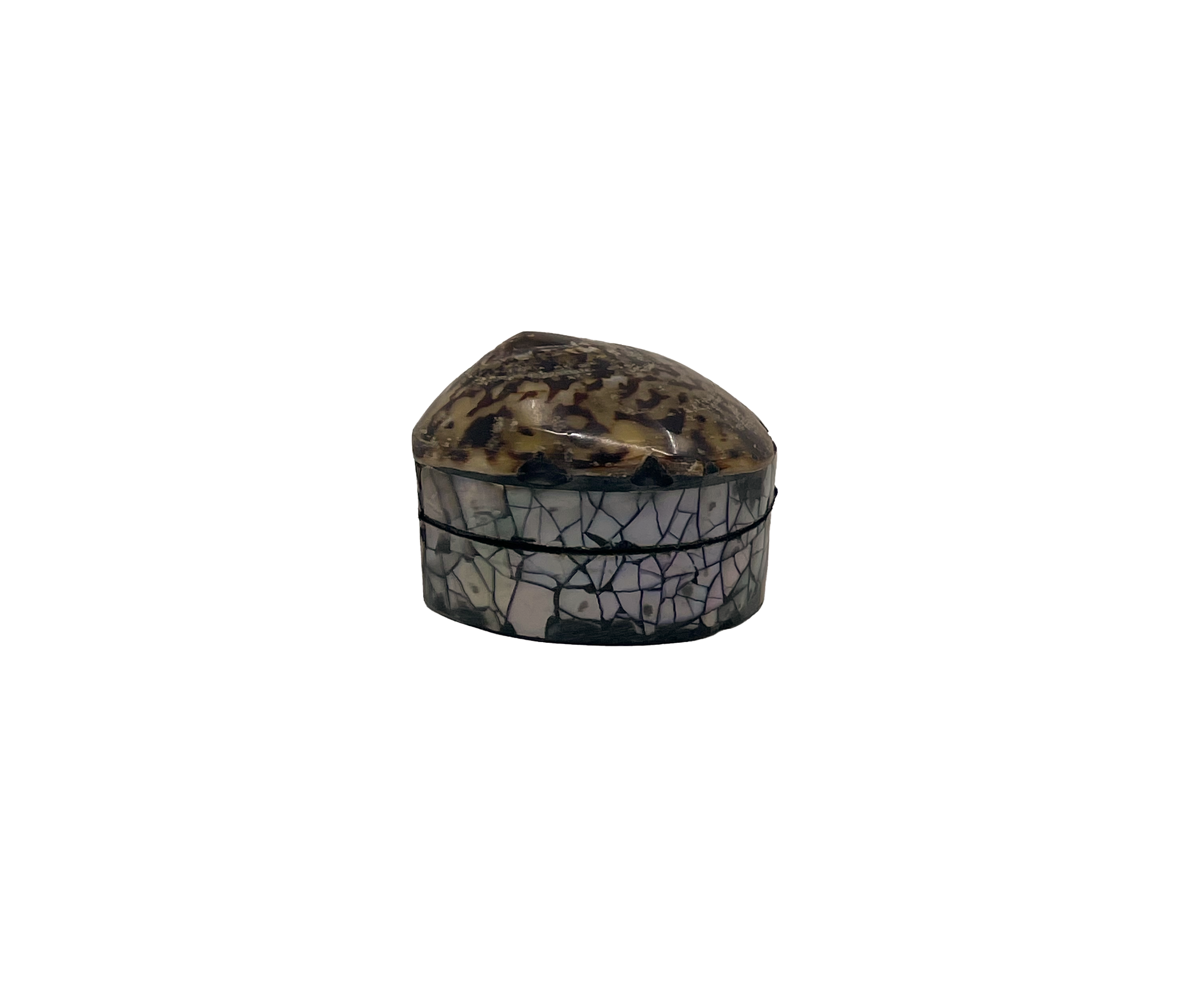 Jewelry box seashell