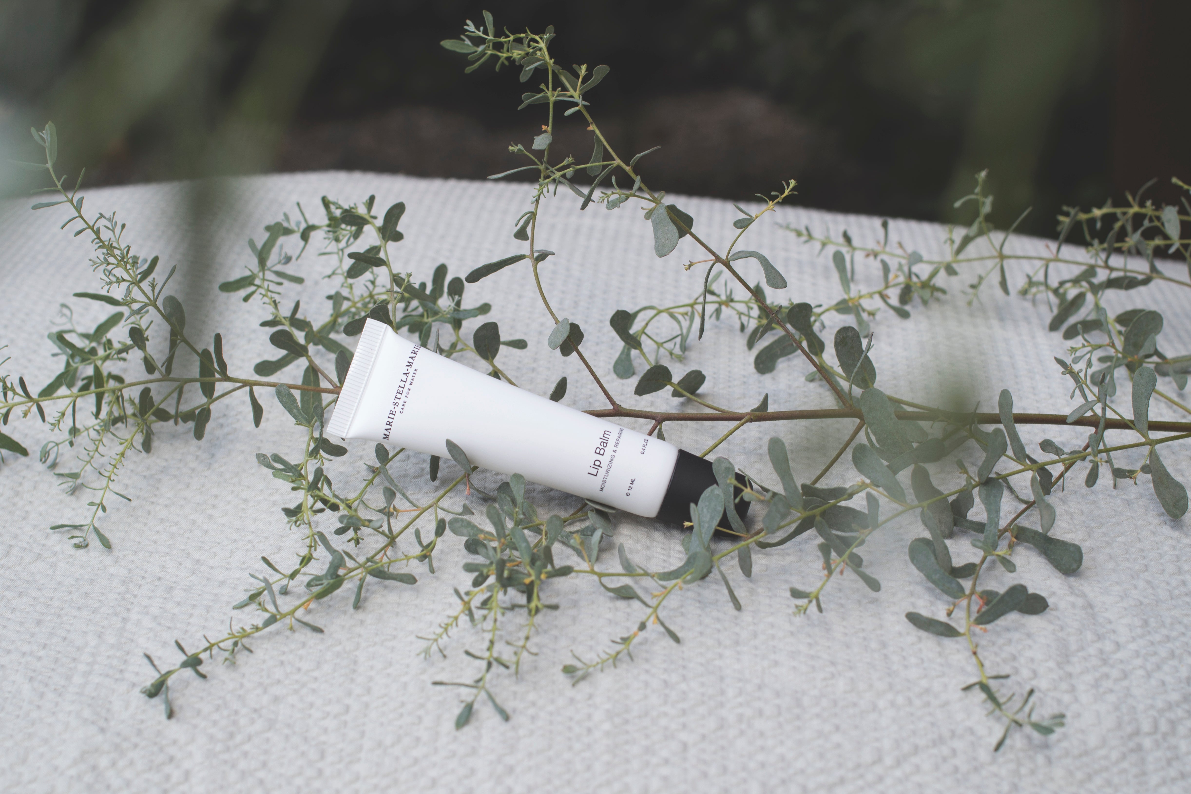 Lip Balm 12 ml