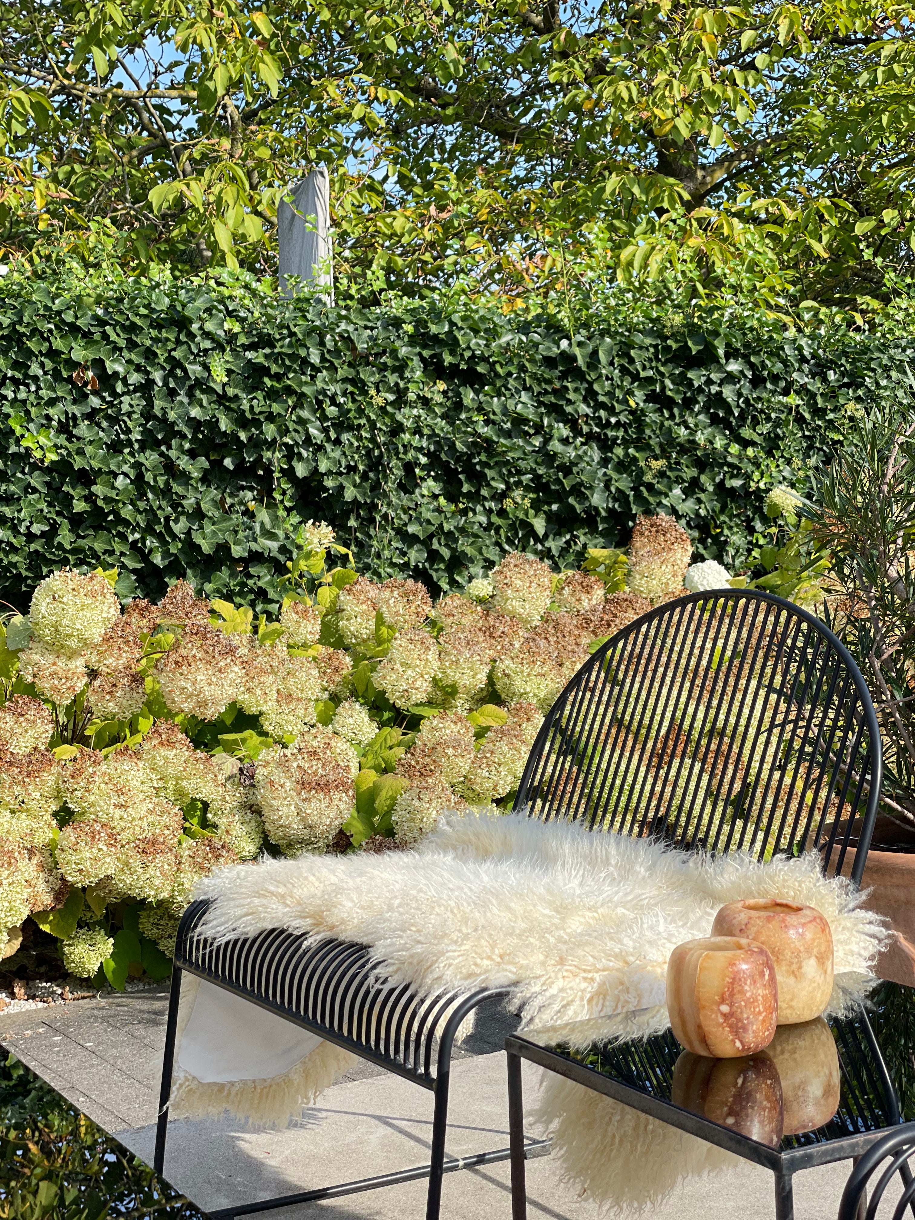 Peau de mouton islandaise - bouclée blanc 2 - XL