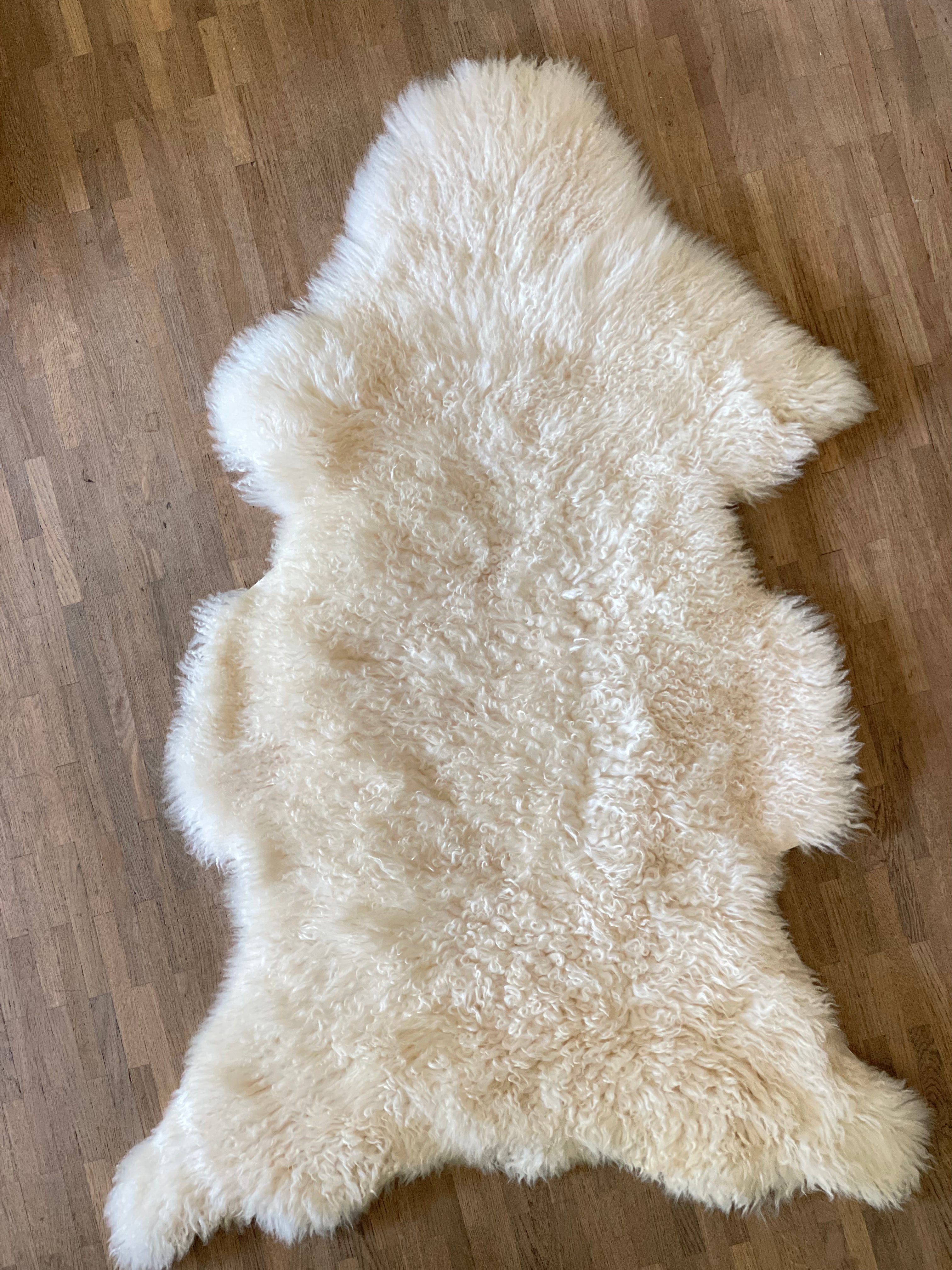 IJslandse schapenvacht - Wit curly 1 - XL