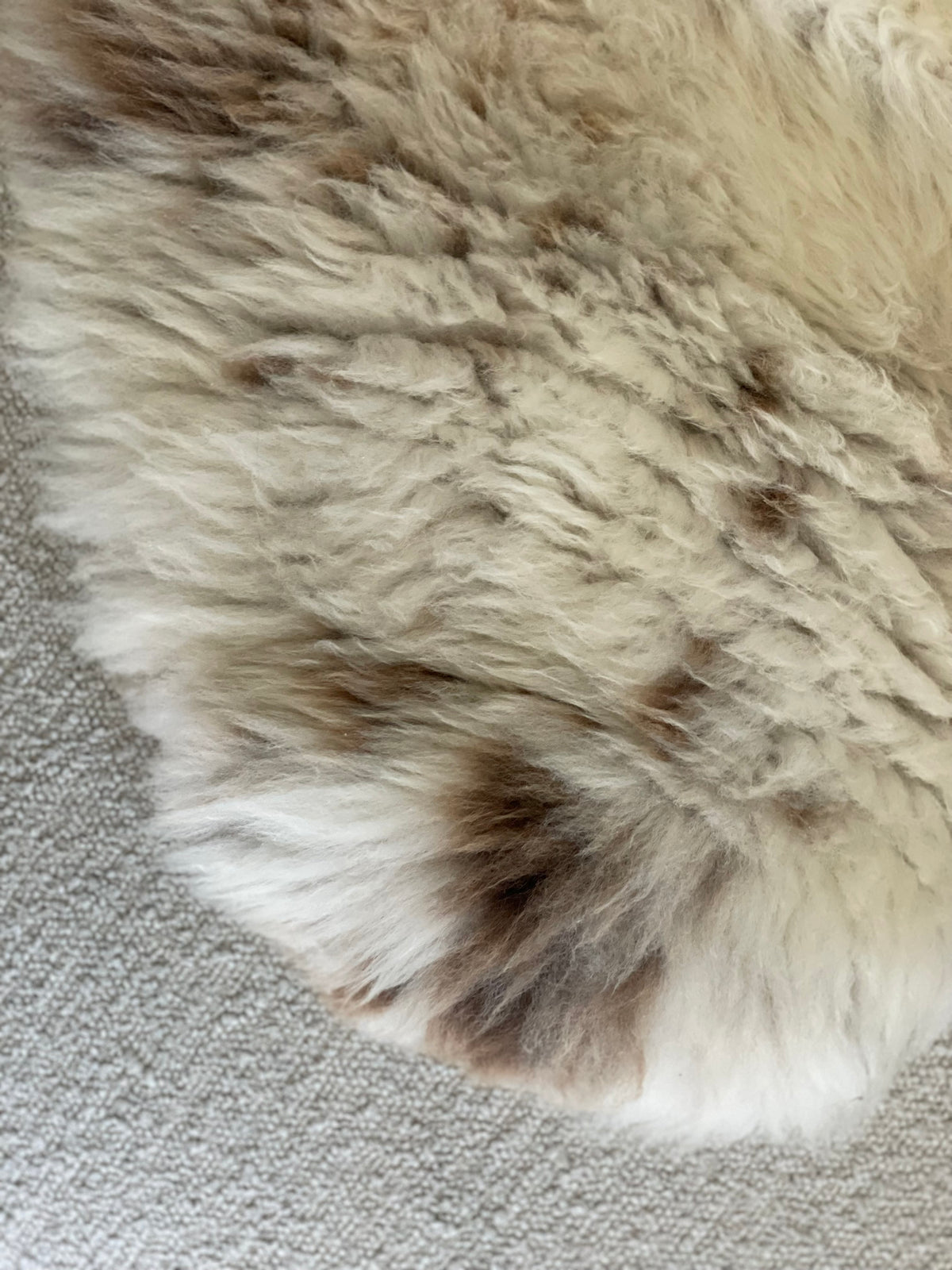 Gemêleerde beige Texelse schapenvacht L 2