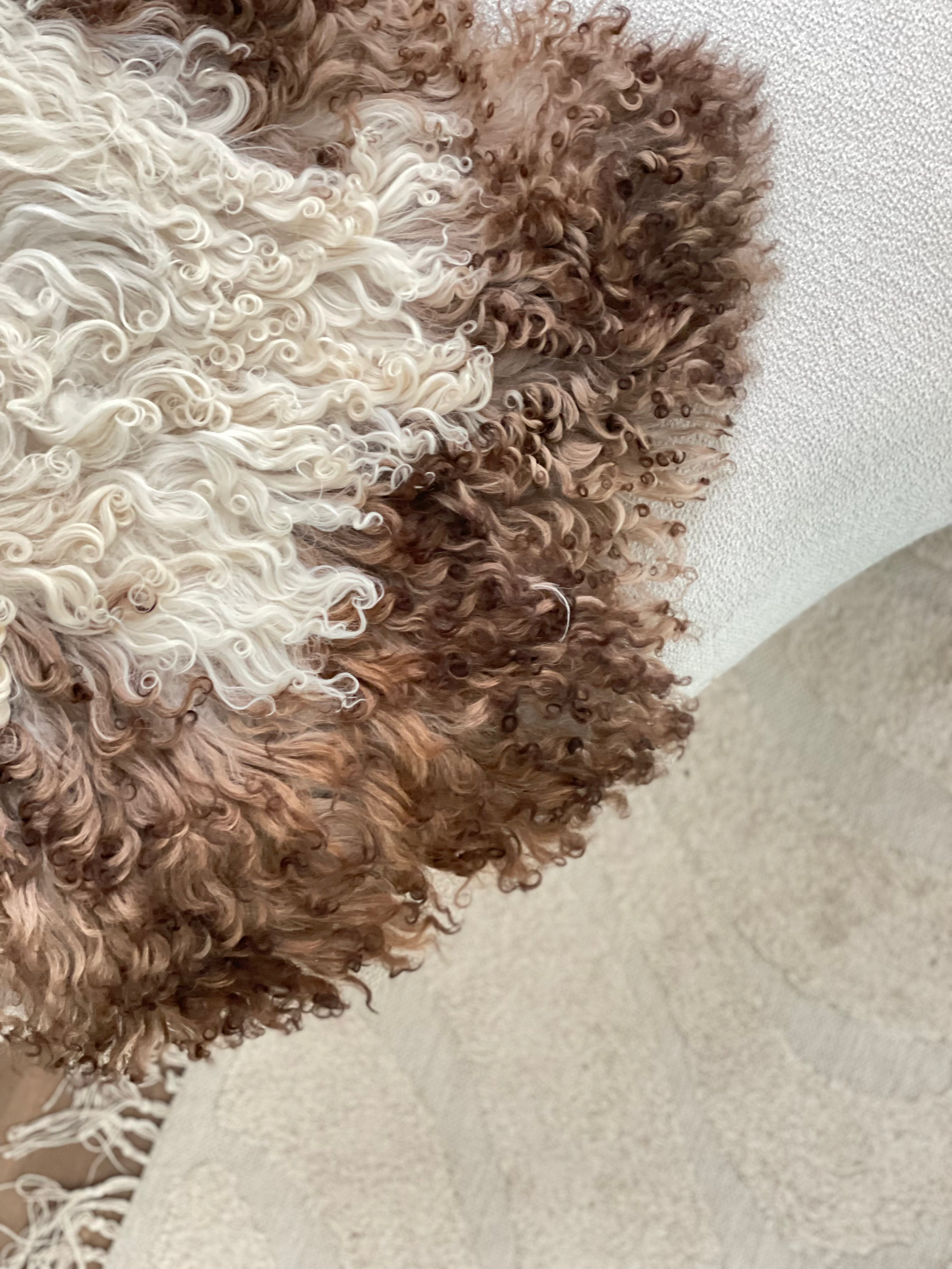 Bergschaap - Curly 2 - XL