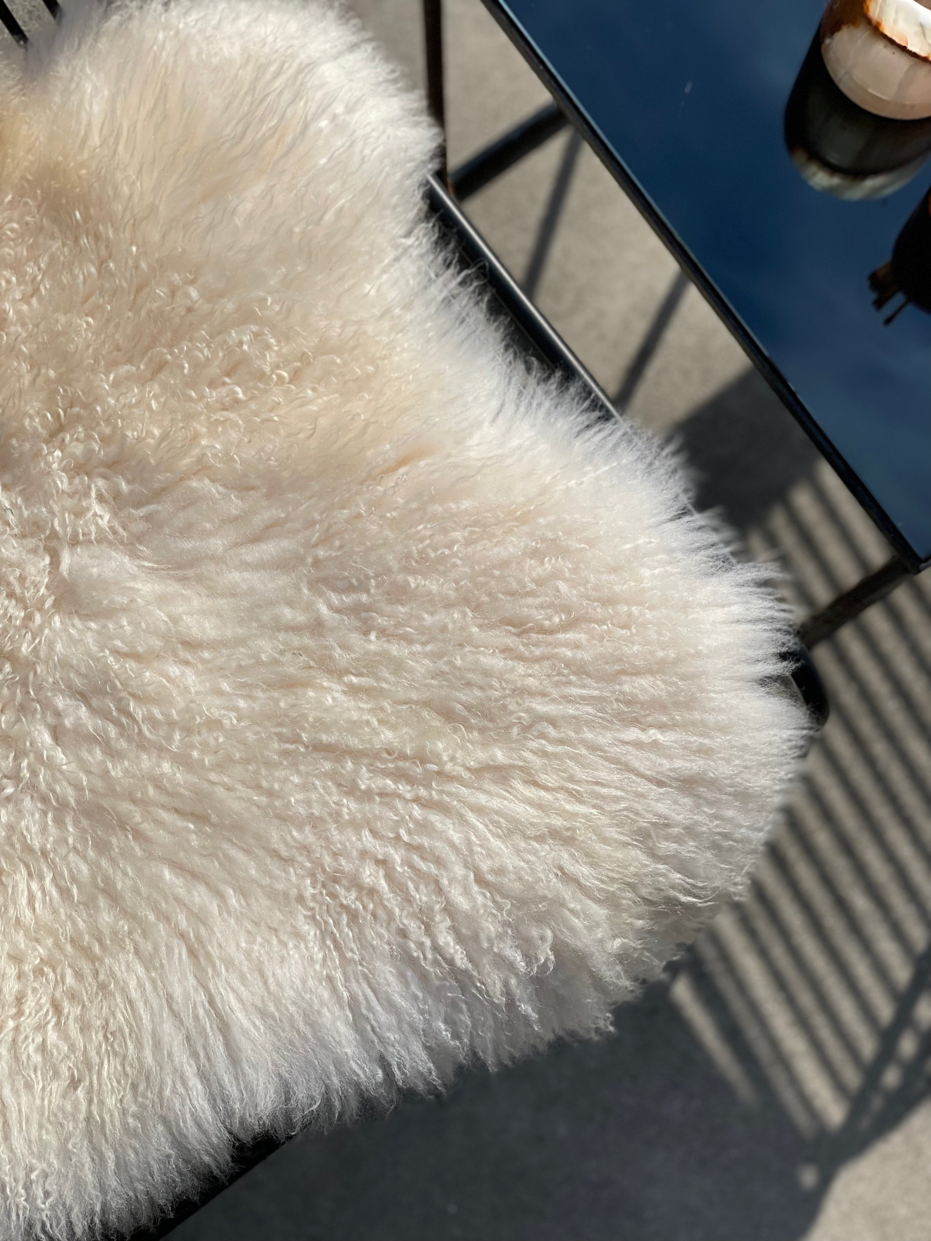 IJslandse schapenvacht - Wit curly 1 - XL