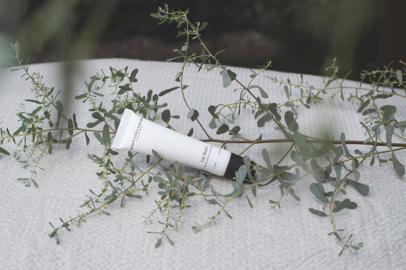 Lip Balm 12 ml