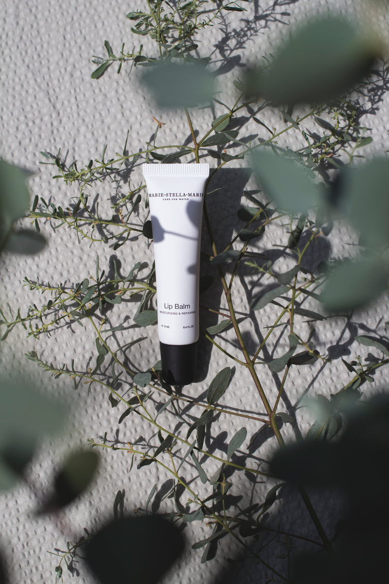 Lip Balm 12 ml
