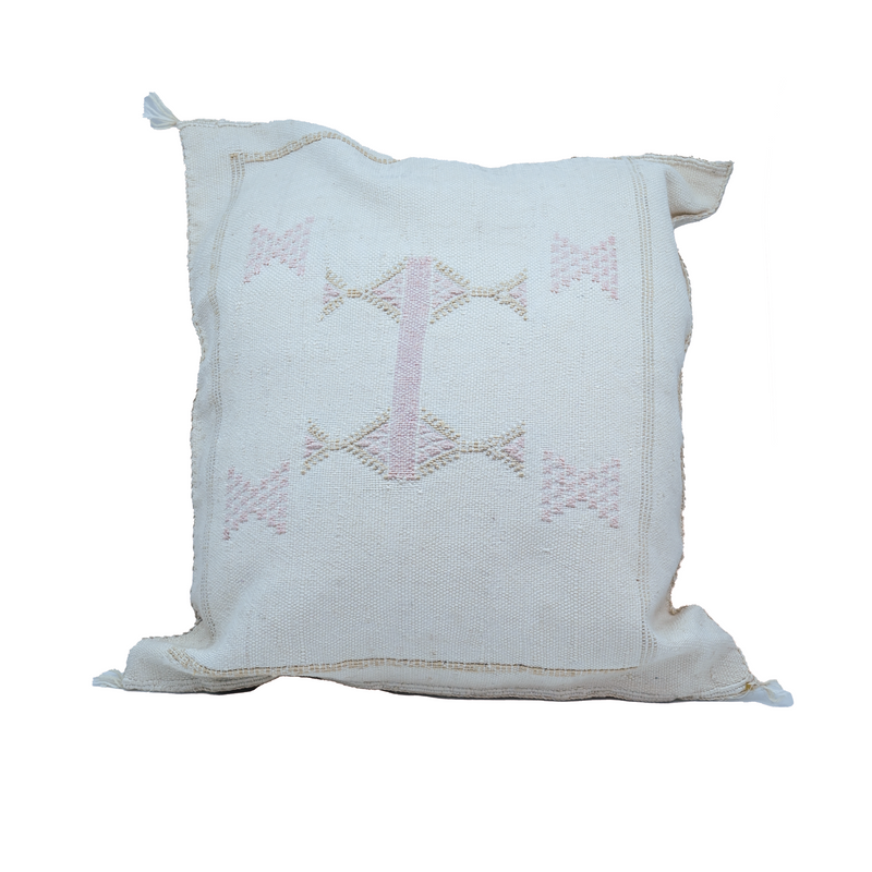 Coussin en cactus d'aloe vera °5